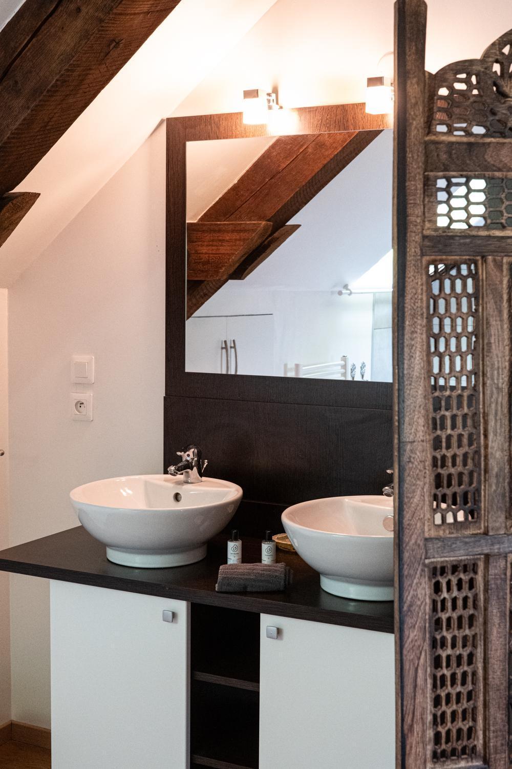 Carnot Duplex, Spacieux 3 Pieces Avec 2 Chambres Sur Les Rue Pietonnes Annecy Ngoại thất bức ảnh